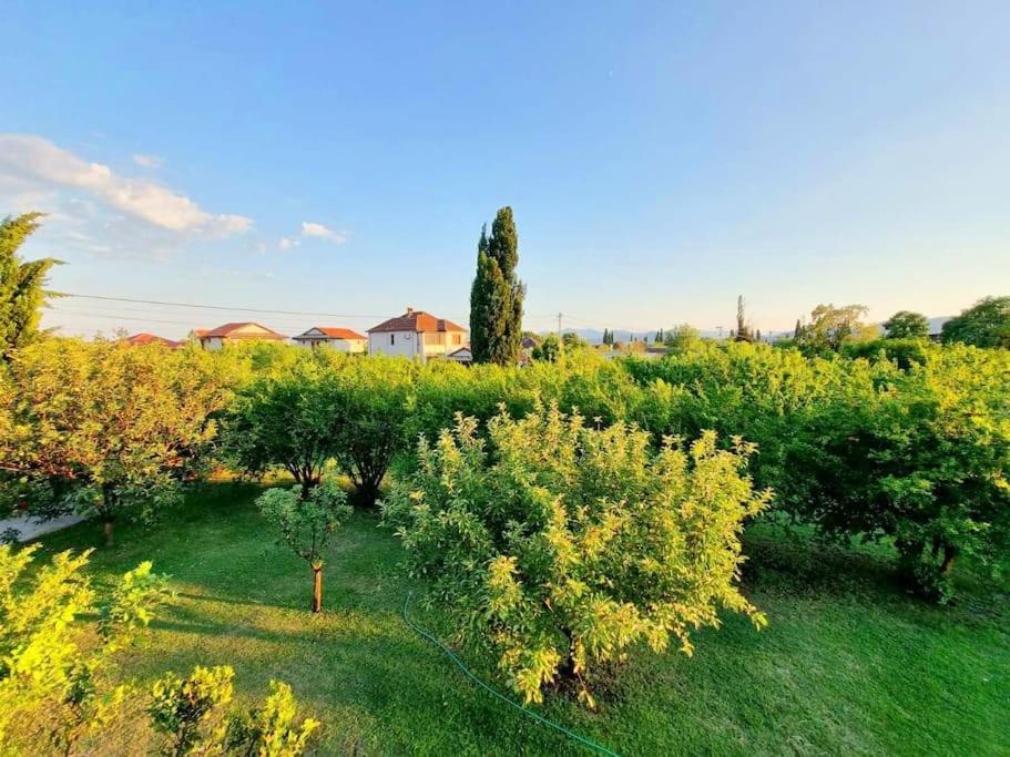 Home Mia Airport Podgorica Exterior photo